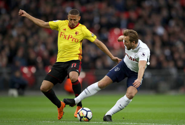 努贝尔的职 努贝尔的职